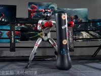智能手环测评CSGO综合格斗运动知识橄榄球赛程日报F1赛车战术分析