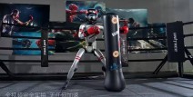 智能手环测评CSGO综合格斗运动知识橄榄球赛程日报F1赛车战术分析